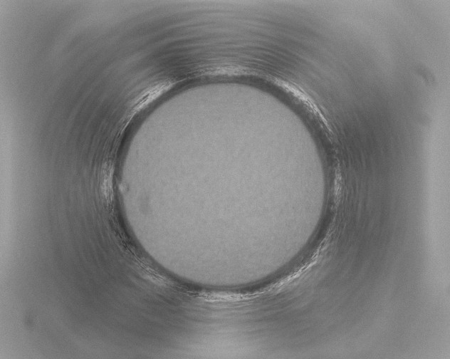 X0000116040873200912181228