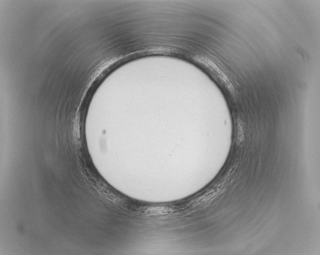 X0000116040883200912181228