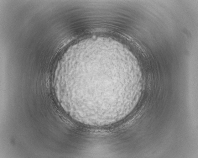 X0000116040921200912181227