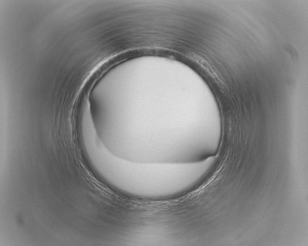 X0000116040926200912181227