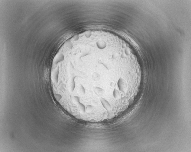 X0000116040953200912181228