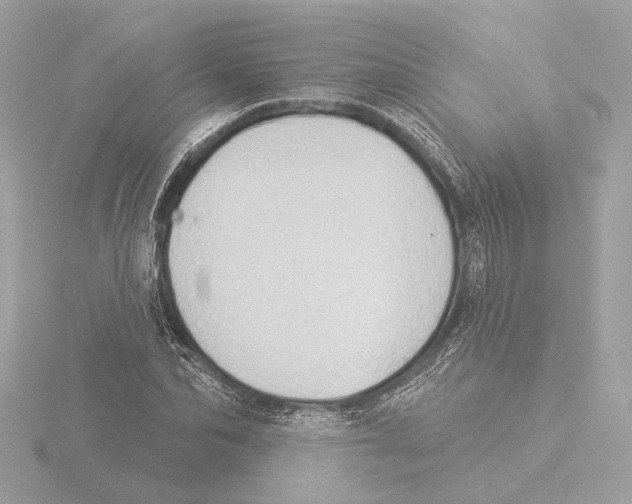 X0000116040974200912181227