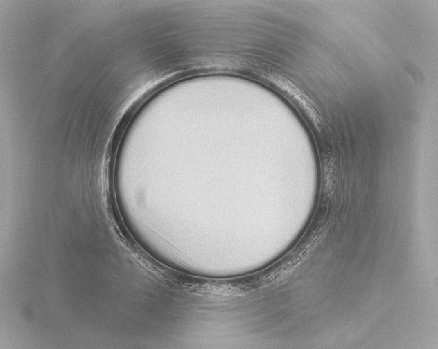 X0000116040983200912181227