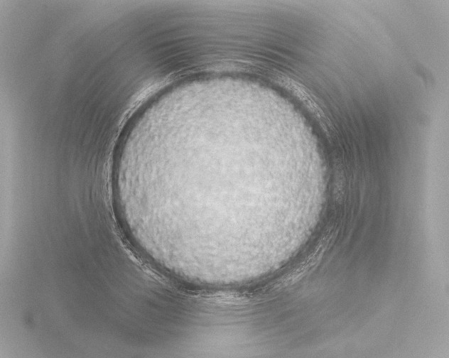 X0000116040986200912181227