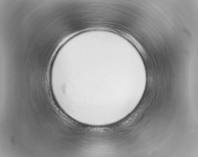 X0000116041004200912181226