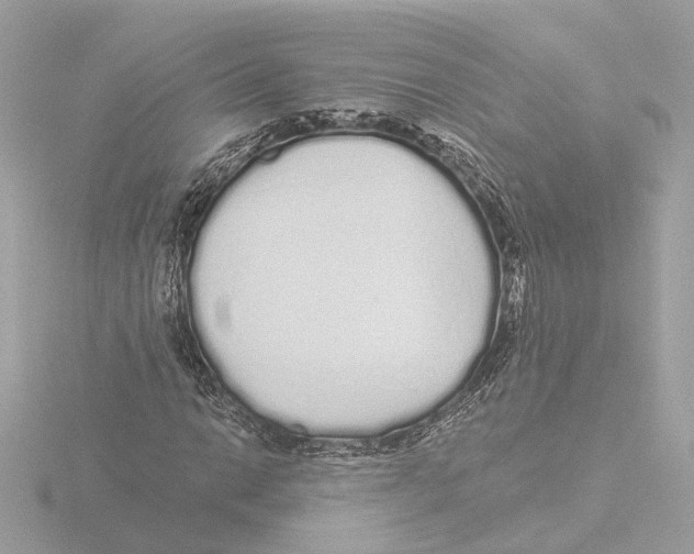 X0000116041014200912181226