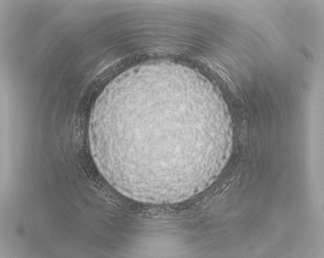 X0000116041015200912181226