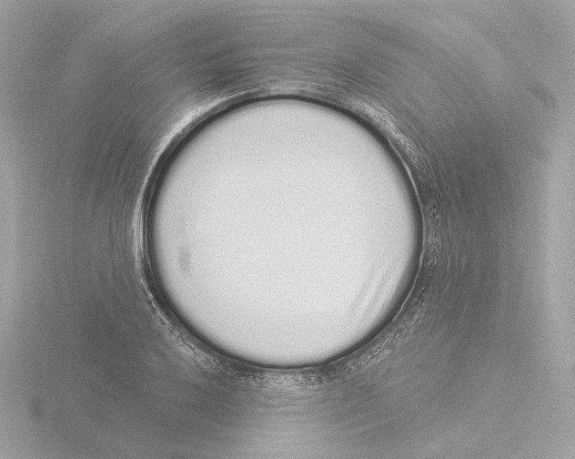 X0000116041032200912181226