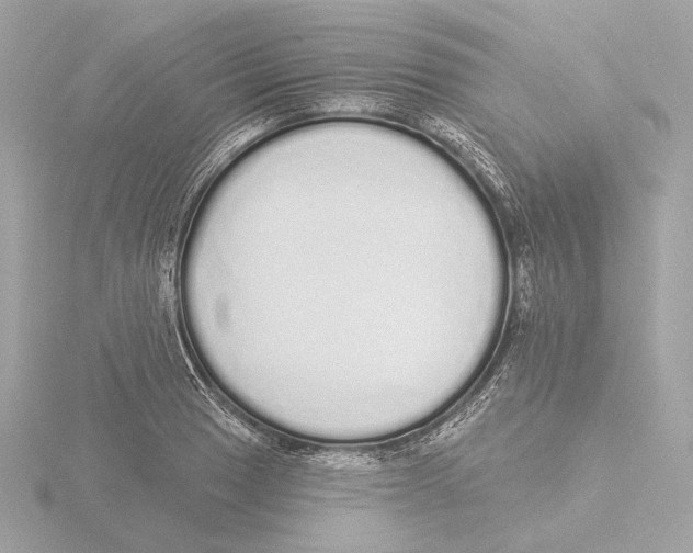 X0000116041033200912181226