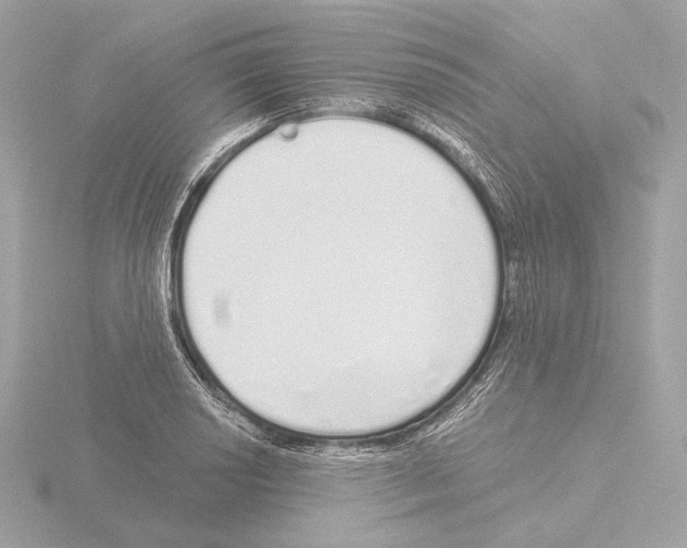 X0000116041034200912181226