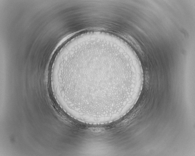 X0000116041044200912181226