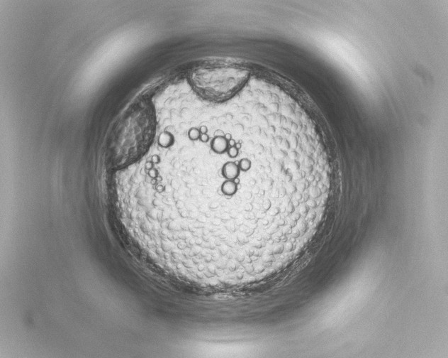 X0000116041054200912181226