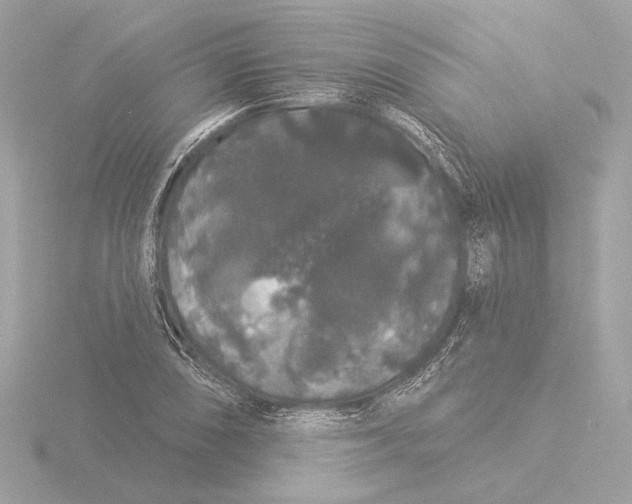 X0000116041074200912181226