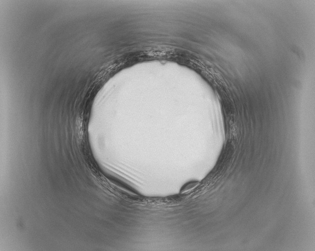 X0000116041106200912181225