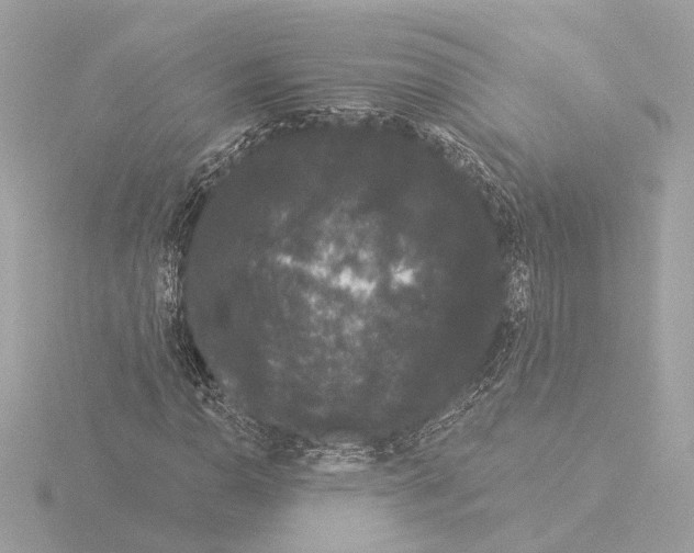 X0000116041110200912181225