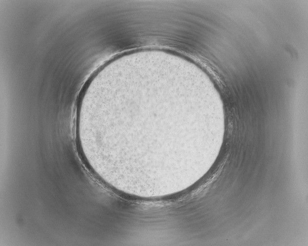 X0000116041126200912181225