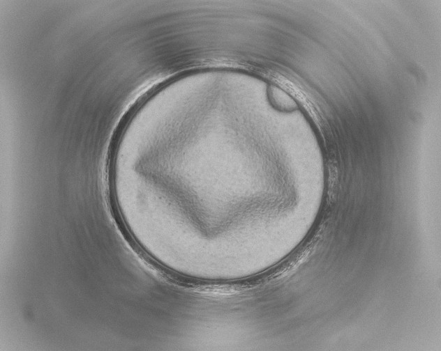 X0000116041141200912181225