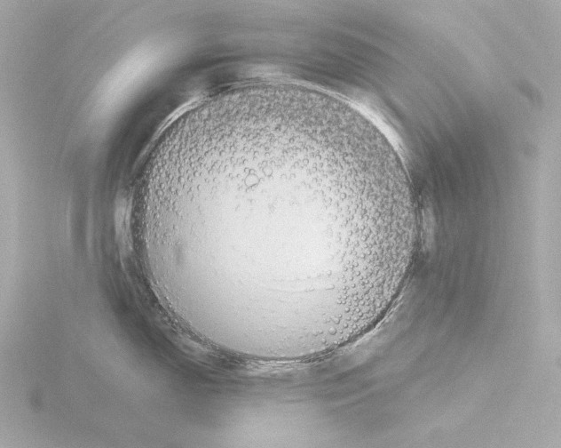 X0000116041150200912181225