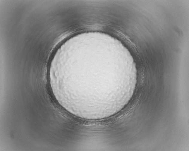 X0000116041174200912181224