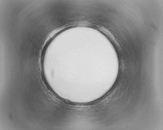 X0000116041176200912181224