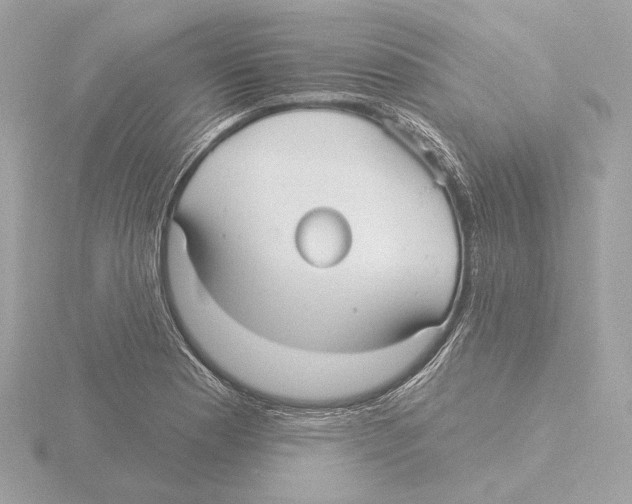 X0000116041177200912181224