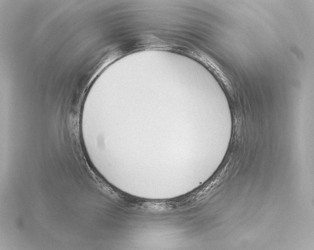 X0000116041194200912181224