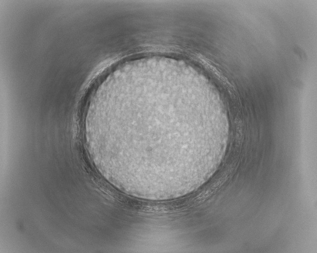 X0000116041215200912181224