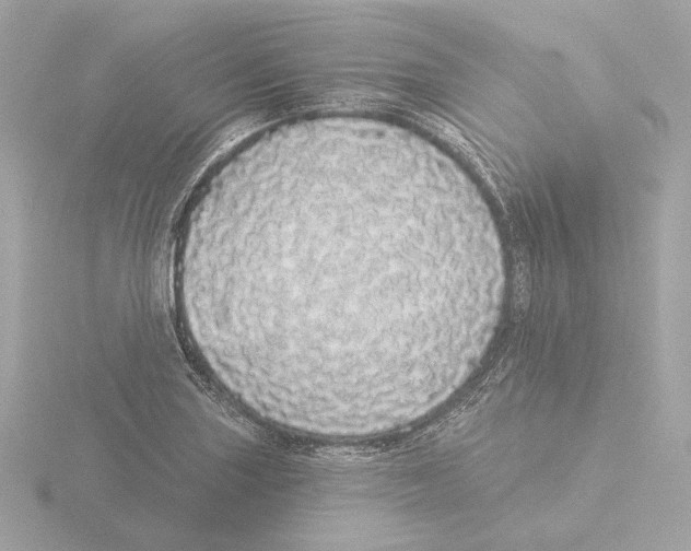 X0000116041227200912181224