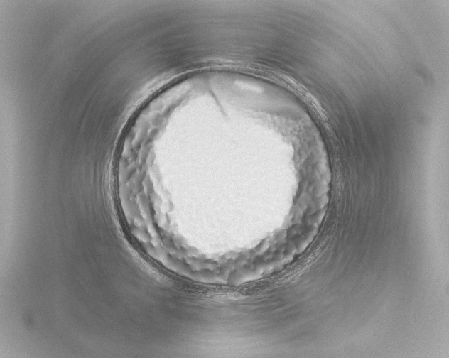 X0000116041239200912181224