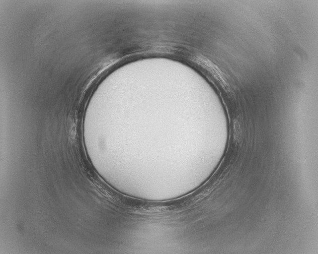 X0000116041260200912181223