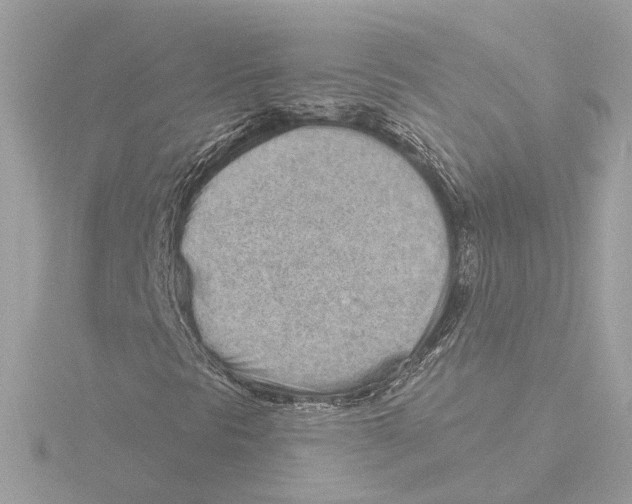 X0000116041297200912181222