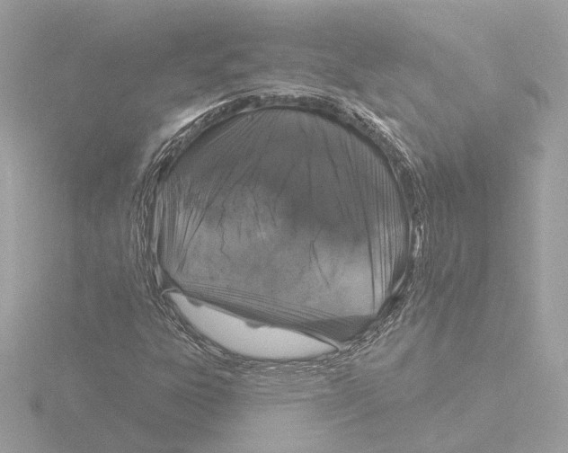 X0000116041303200912181222