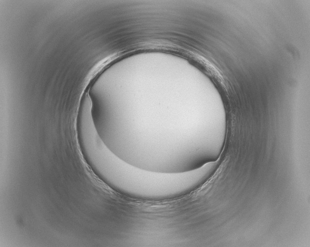 X0000116041330200912181223