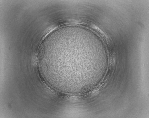 X0000116041361200912181222