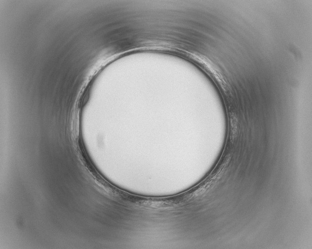 X0000116041371200912181222