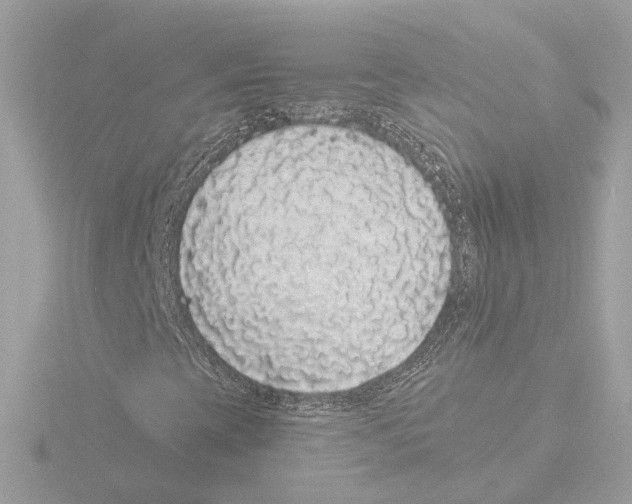 X0000116041393200912181221