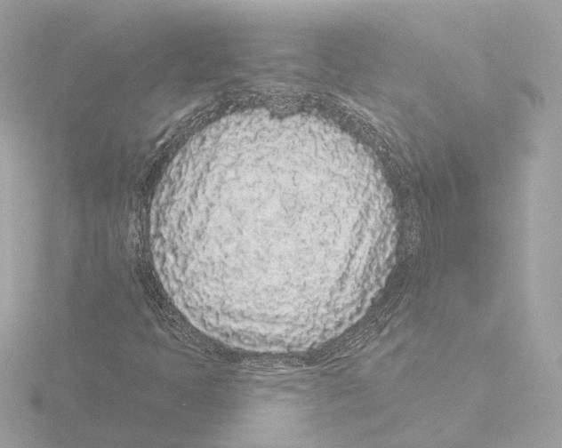 X0000116041397200912181221