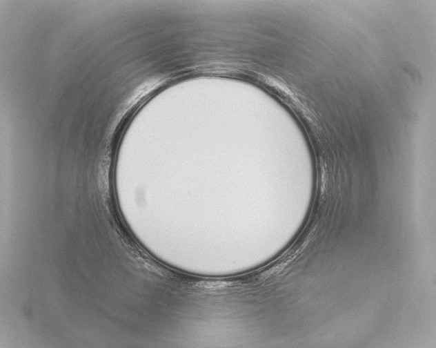 X0000116041410200912181221