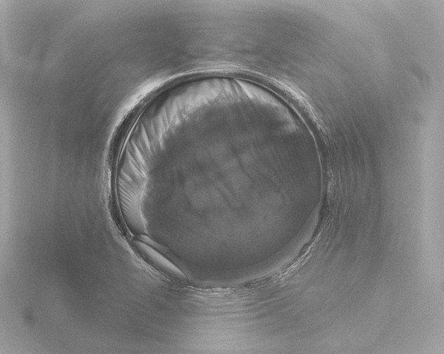 X0000116041414200912181221