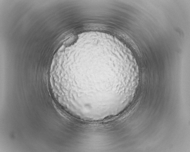X0000116041425200912181221