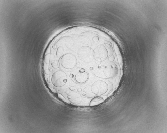 X0000116041432200912181221
