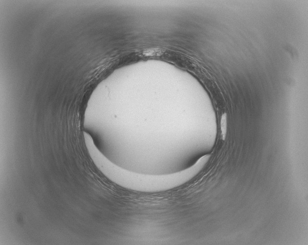 X0000116041443200912181221