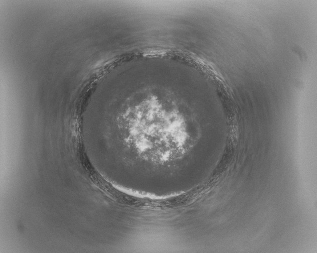 X0000116041445200912181221