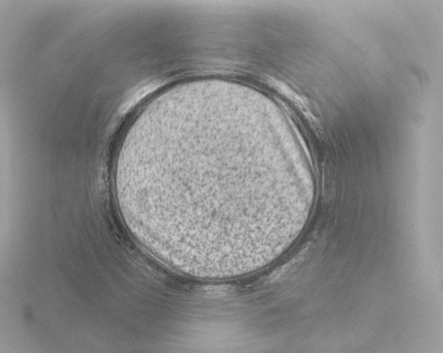 X0000116041453200912181221