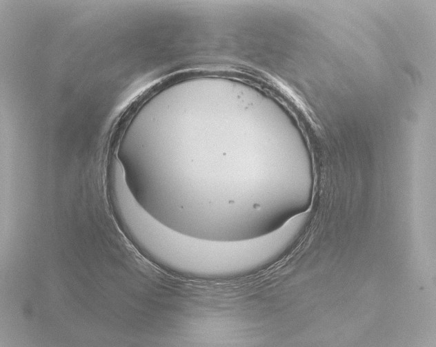 X0000116041456200912181221