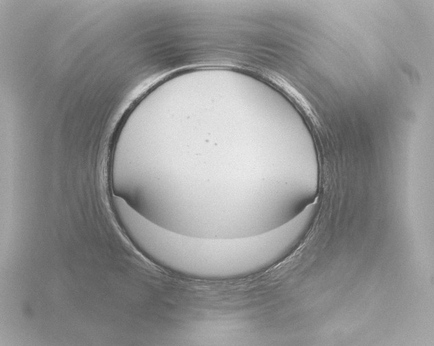 X0000116041477200912181220