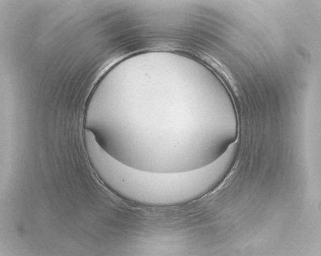 X0000116041481200912181220