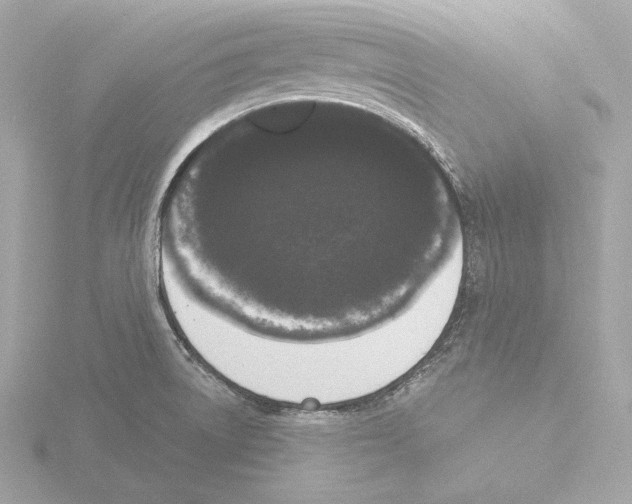 X0000116041522200912181220