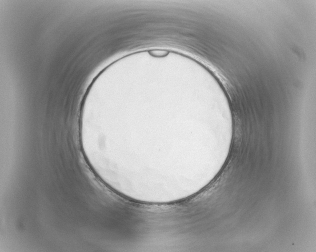 X0000116041534200912181220