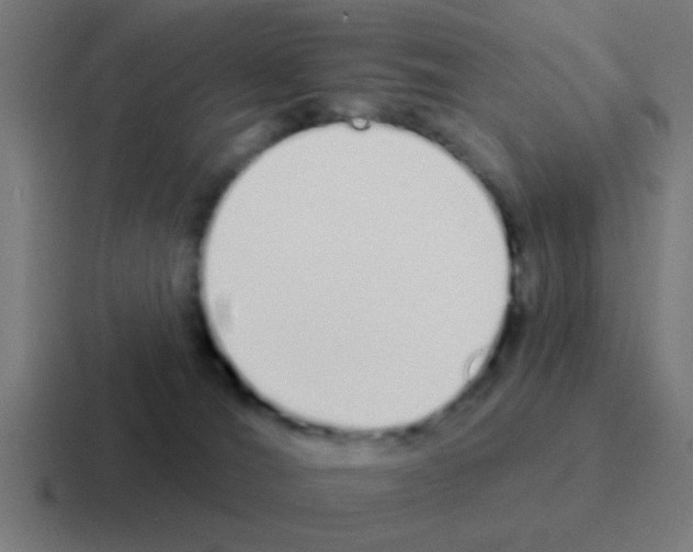X0000116040036200912312241